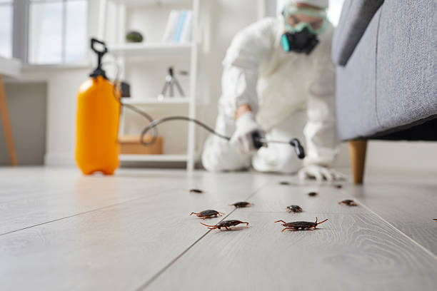 Commercial Kitchen Cockroach Control in Elverta